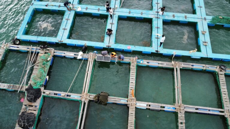 Smart Mariculture System