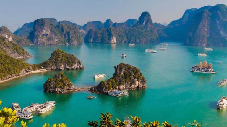 Connectedness to Nature in Vietnam: Translation, Validation, and Public Engagement