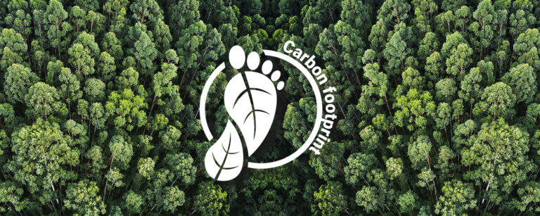 Carbon Footprint Monitoring and Management System for Tourism