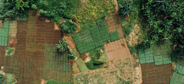 Utilizing satellite and drone imagery to monitor deforestation, UHIs, green space degradation, and detect super-emitters