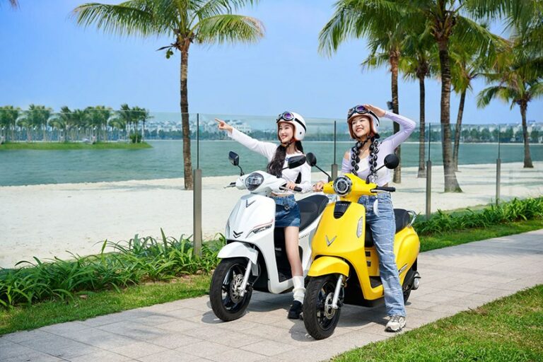 Efficient and Equitable E-Motorbike Transition in Vietnam: Evidence from Surveys, NLP, and DiD